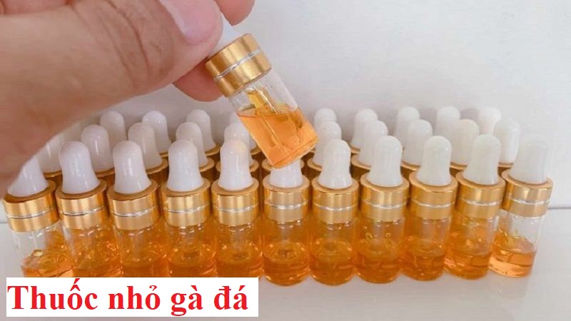 Thuốc nhỏ gà đá và những điều cần lưu ý - Đá gà trực tiếp