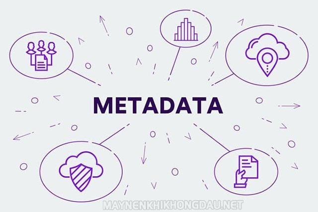 Metadata là gì? Có những loại siêu dữ nào, lợi ích của siêu dữ liệu