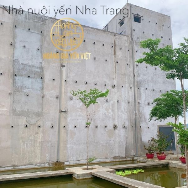 Yến sào Nha Trang giá bao nhiêu? - Hoàng Gia Yến Việt