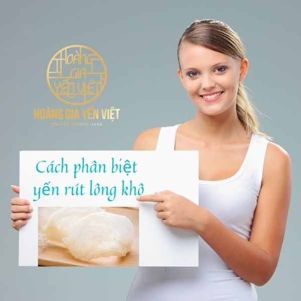 Phân biệt yến sào rút lông khô như thế nào? Hoàng Gia Yến Việt