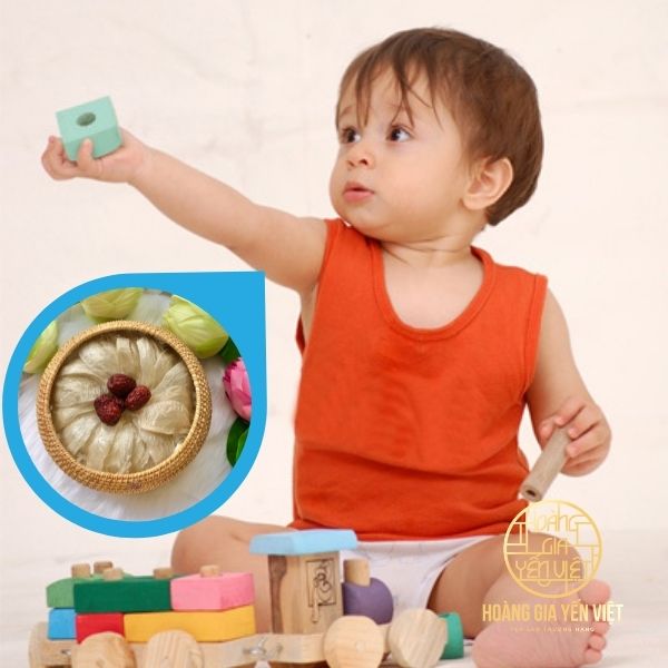 Trẻ em ăn yến bao nhiêu là đủ, liều dùng yến sào cho bé