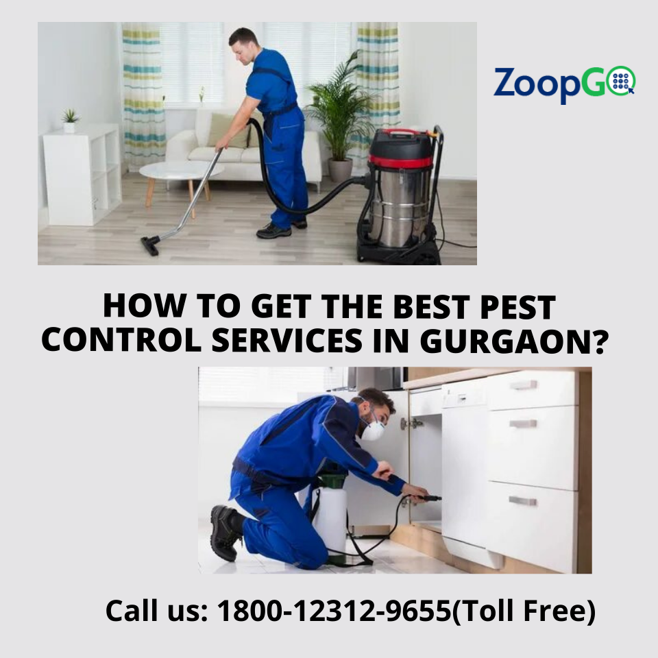 How to get the best pest control services in Gurgaon?