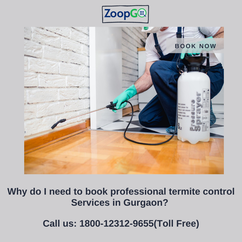 Why do I need to book professional termite control Services in Gurgaon? | by PRIYA AGRAHARI | Feb, 2022 | Medium