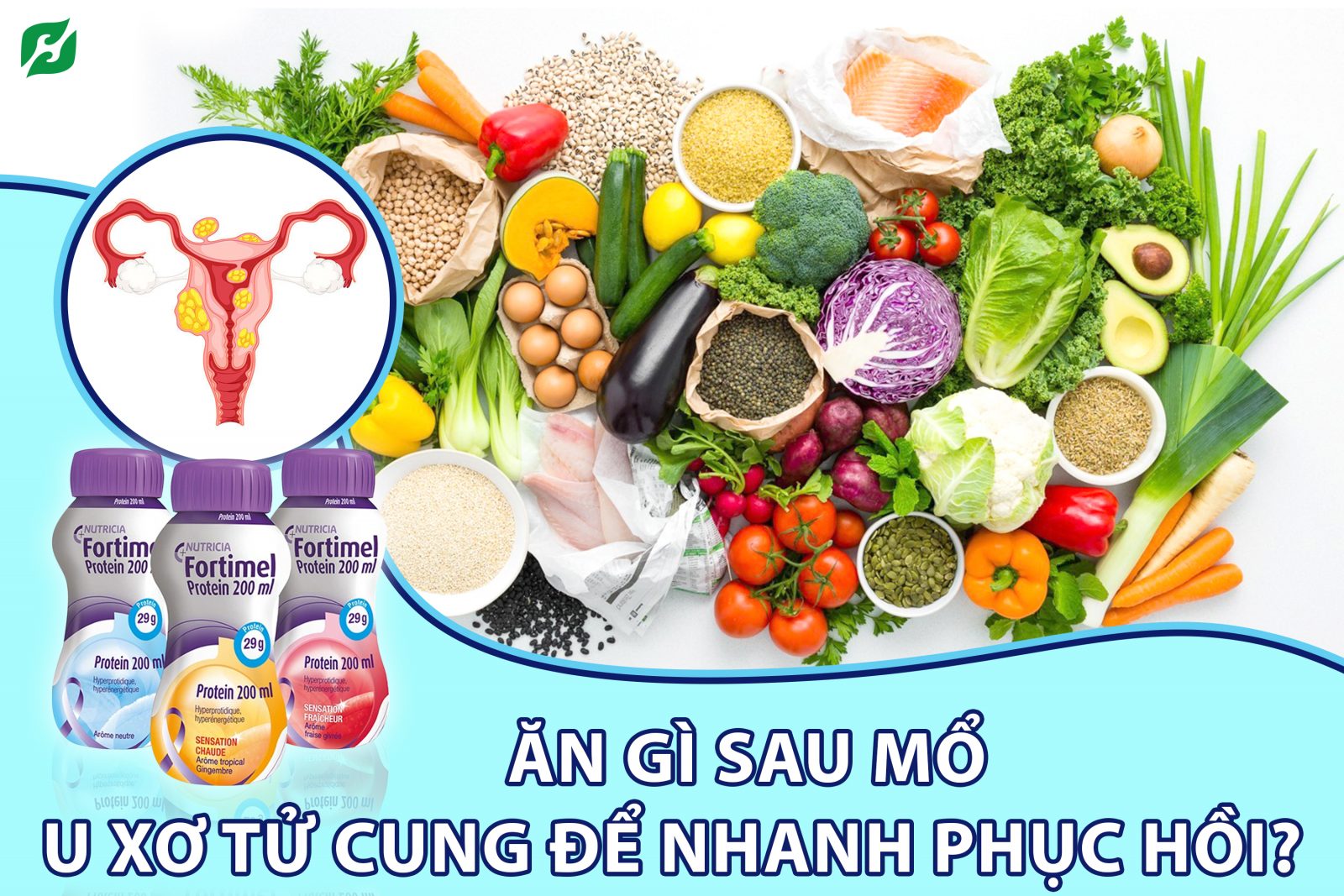 Nên Ăn Gì Sau Mổ U Xơ Tử Cung? "Bỏ Túi" Top Những Thực Phẩm Giúp Phục Hồi Nhanh - H&H Nutrition