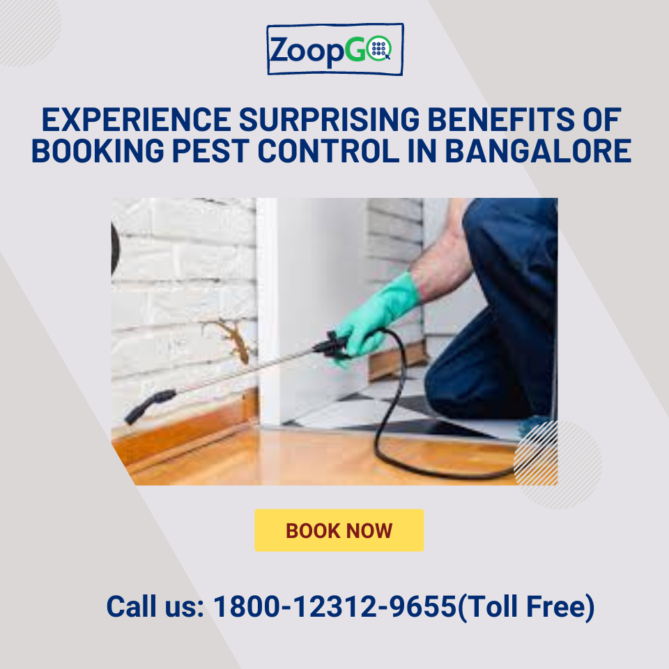 Experience Surprising Benefits of Booking Pest Control in Bangalore