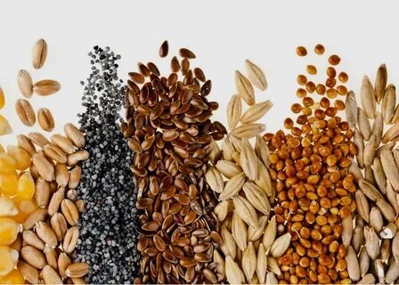 Top 7 Benefits of Buying Seeds Online