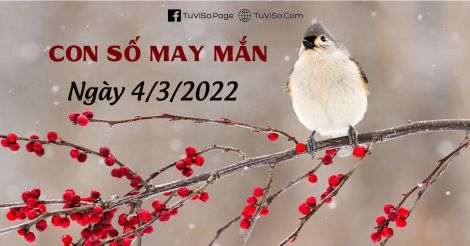 Con số may mắn hôm nay ngày 4/3/2022: Phú quý song toàn