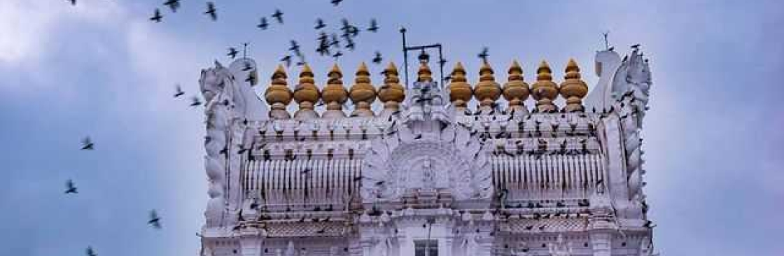 Padmavathi TravelsTnagar