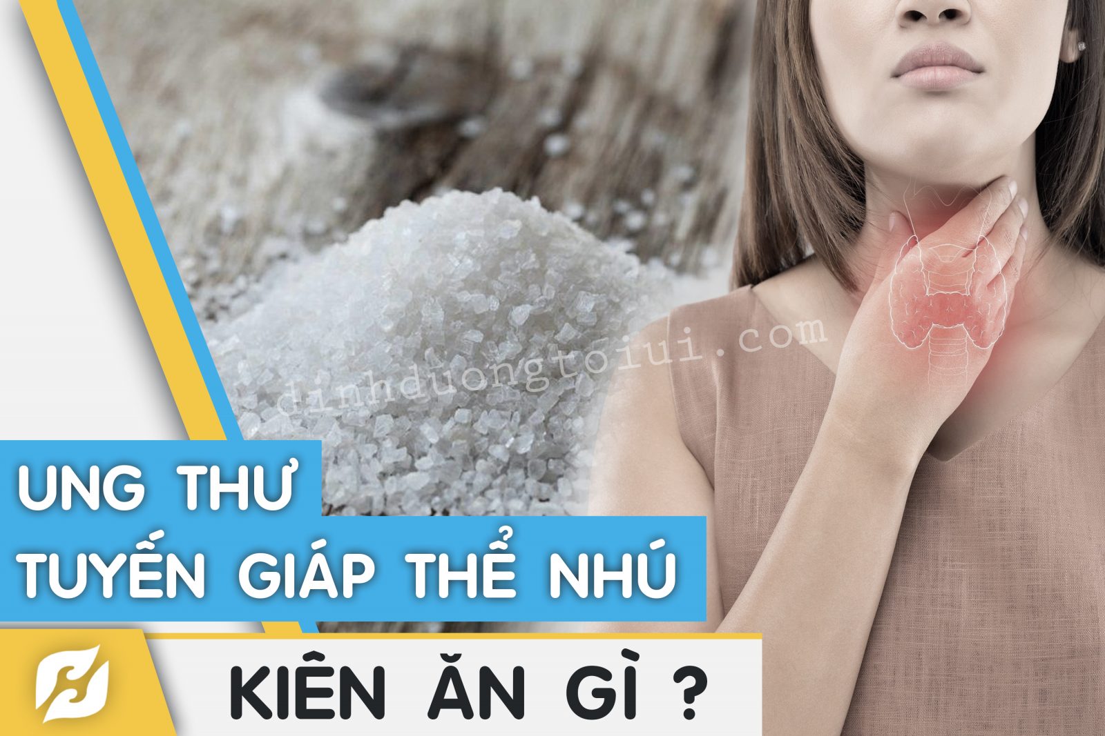 Ung Thư Tuyến Giáp Thể Nhú Kiêng Ăn Gì? Tìm Hiểu Về Ung Thư Tuyến Giáp - H&H Nutrition