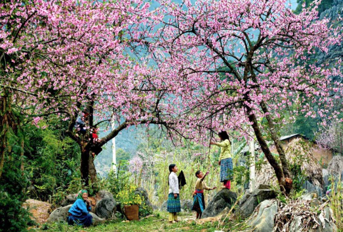 Tour Tây Bắc 3 ngày 2 đêm {giảm giá ngay 10% cho đoàn trên 10 người}