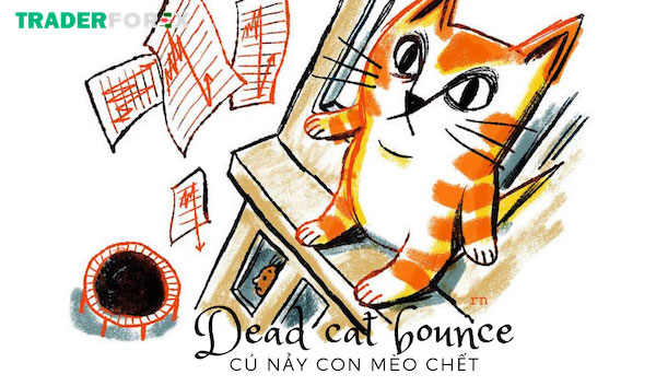 Dead Cat Bounce là gì? Cách giao dịch với Cú nảy con mèo chết