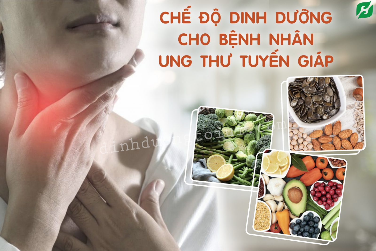 Chế Độ Dinh Dưỡng Cho Bệnh Nhân Ung Thư Tuyến Giáp - H&H Nutrition