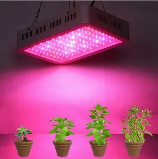 Why Led Grow Lights Are The Best Option For Indoor Gardening?