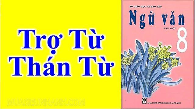 Trợ từ là gì? Thán từ là gì? Cho ví dụ - Chia sẻ thông tin mua sắm online nhanh và rẻ nhất