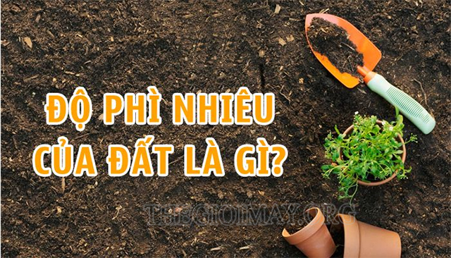 Độ phì nhiêu của đất là gì? Độ phì nhiêu được hình thành do đâu?