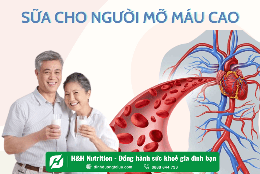 Điểm danh sữa cho người mỡ máu cao và chế độ dinh dưỡng phù hợp cho người bệnh - H&H Nutrition