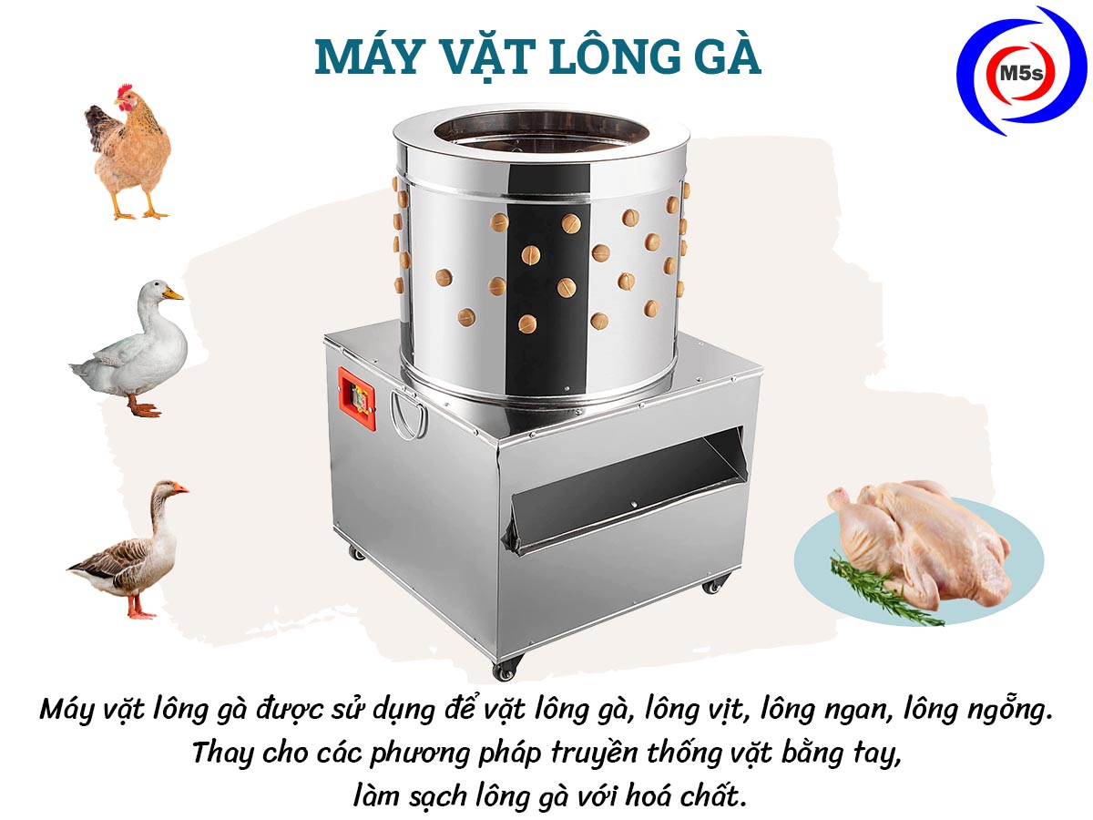 Ưu điểm nổi bật mà máy vặt lông gà mang lại | thietbim5sのブログ