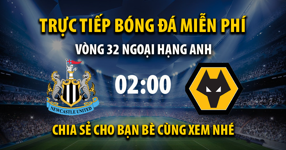 Link trực tiếp trận Newcastle Utd vs Wolverhampton lúc 02:00, ngày 09/04/2022 - Cakhia.com