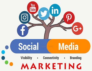 Why Social Media Marketing Is Important For Your Local Business? - Mind Mingles