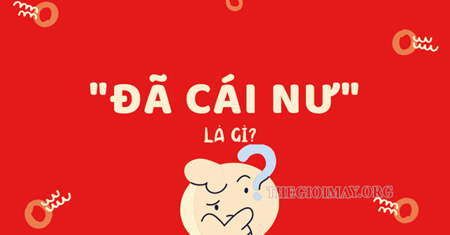 [Giải đáp] cái nư là gì? Tại sao lại nói "đã cái nư"? -