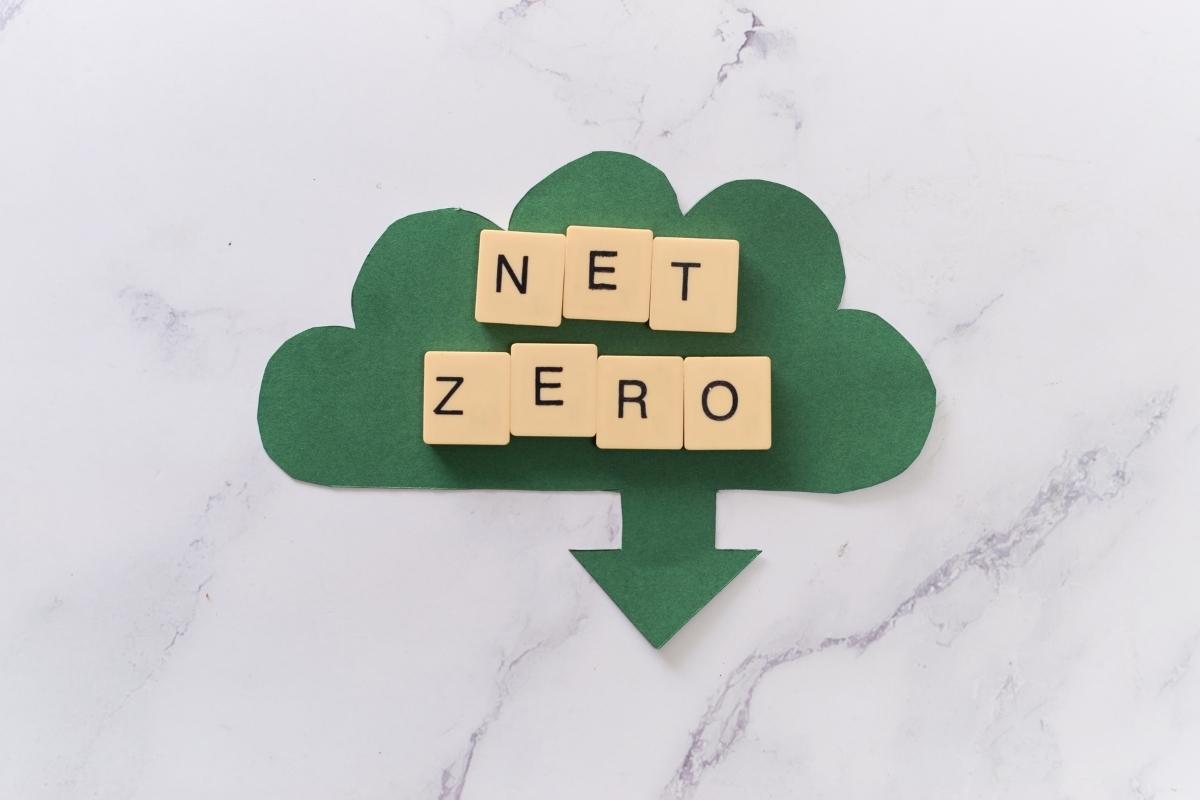 Net-Zero Announcement: What Does It Means and How Businesses Plan To Achieve Their Goals?