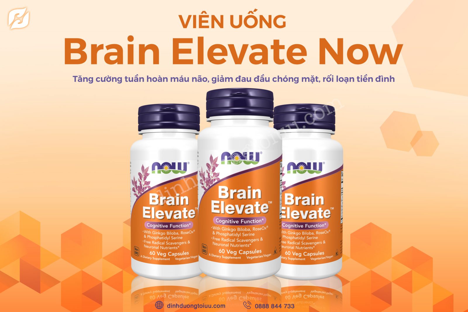 Viên uống Brain Elevate Now - Tăng cường tuần hoàn máu não, giảm đau đầu chóng mặt, rối loạn tiền đình - Dinh Dưỡng Tối Ưu