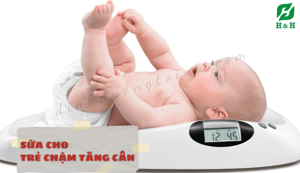 Sữa cho trẻ chậm tăng cân - giải pháp tối ưu dành cho trẻ - H&H Nutrition