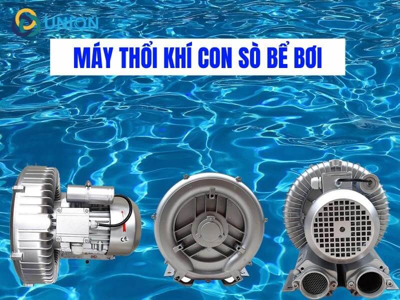 Máy thổi khí bể bơi dạng con sò (Chất Lượng - Giá Tốt) | UNION