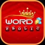 Synarion Word Frolic Puzzle Game