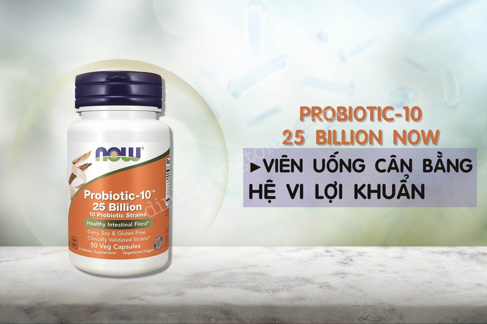 Probiotic-10 25 Billion Now - Viên uống cân bằng hệ vi lợi khuẩn - Dinh Dưỡng Tối Ưu