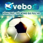 Vebo TV Trực Tiếp Bóng Đá