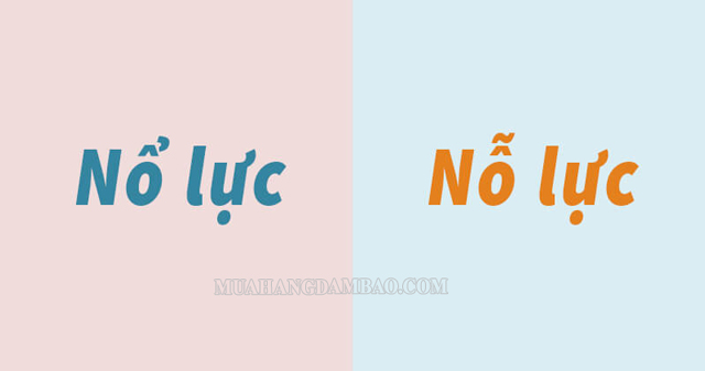 Nỗ lực là gì? Tại sao cần nỗ lực vươn lên trong cuộc sống?