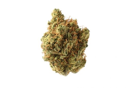 Buy Pound Of Amnesia Haze - 420 Store 4 All