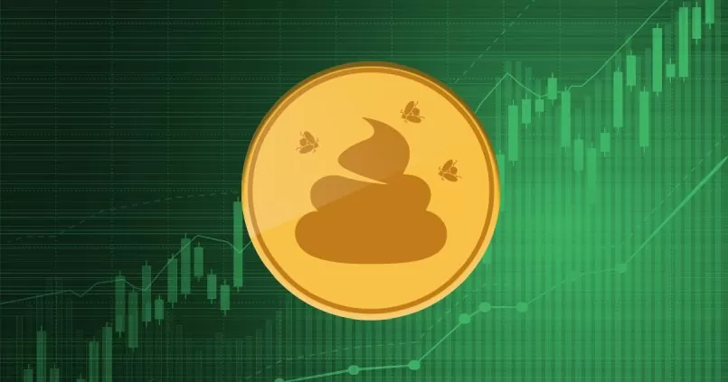 Shitcoin (Coin rác) là gì? Bật mí những coin rác tiềm năng nhất 2022