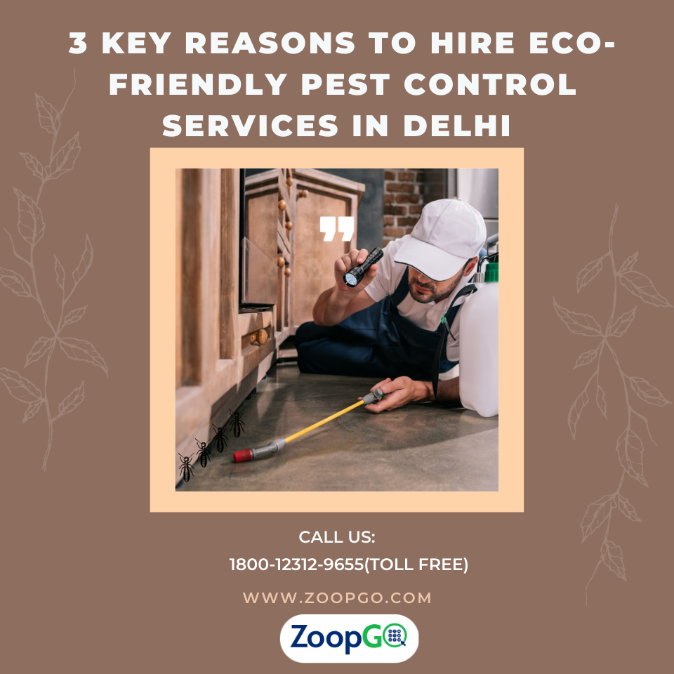 3 Key reasons to hire eco-friendly pest control services in Delhi - AtoAllinks