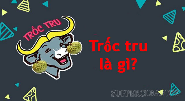 Trốc tru là gì? Học ngay những từ địa phương miền Trung thú vị