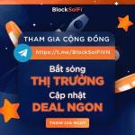 BlockSolfi BlockSolfi
