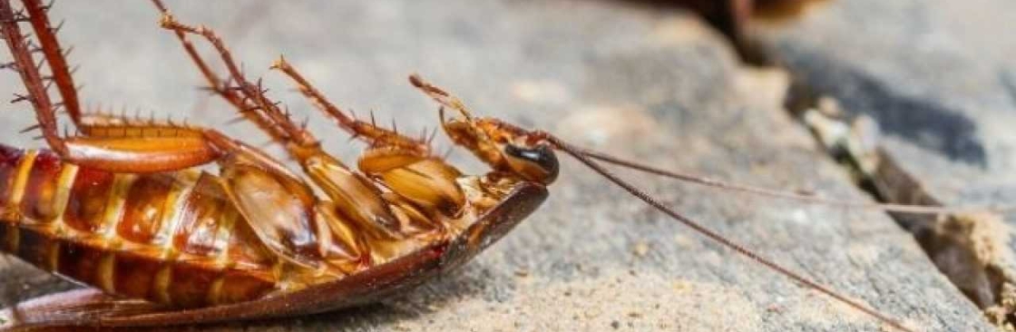 Arrow Exterminating Cockroach Control Perth