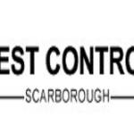 Pest Control Scarborough