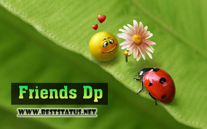 Best Friends DP Images 2022 - Most Friends Dp For Whatsapp