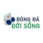 Bong da Doi Song