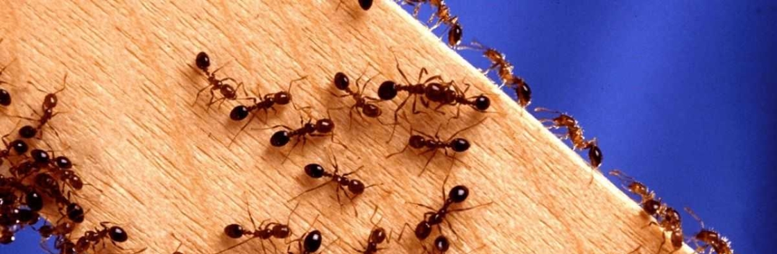 Massey Pest Control Melbourne