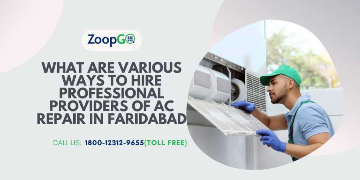 What Are Various Ways to Hire Professional Providers of AC Repair in Faridabad