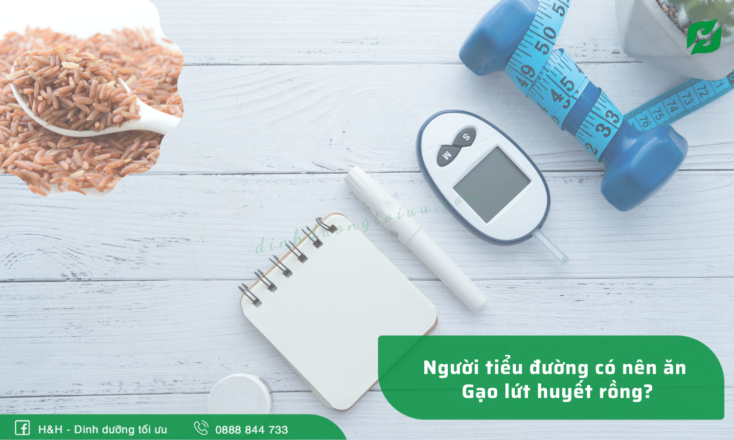 Người tiểu đường có nên ăn gạo lứt huyết rồng? - H&H Nutrition