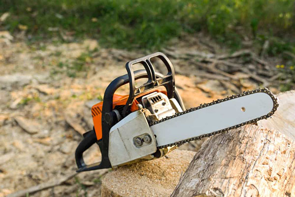 Best Chainsaw Reviews & Guides