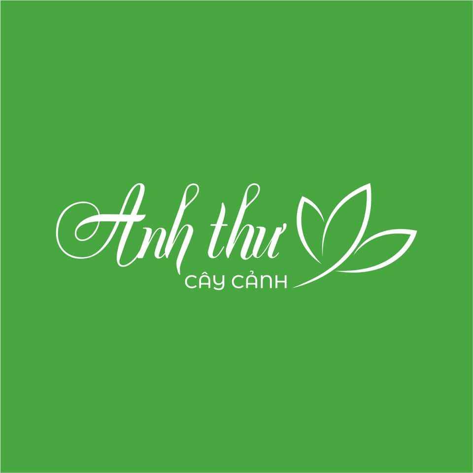 Cây cảnh Anh Thư