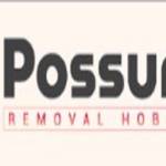 Possum Removal Hobart
