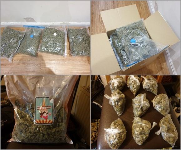 Pounds Of Weed For Sale | Buy Bulk Wholesale Weed | 420 Store 4 All