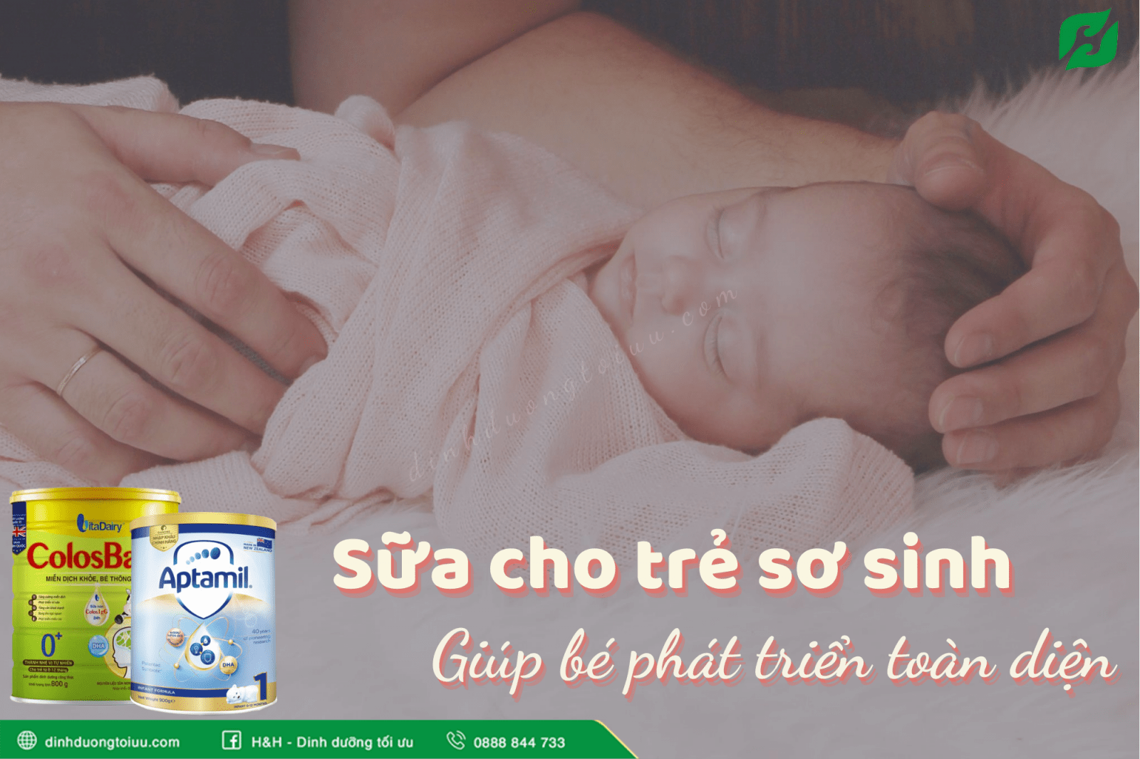 Top 3 loại sữa cho trẻ sơ sinh giúp bé phát triển toàn diện - H&H Nutrition