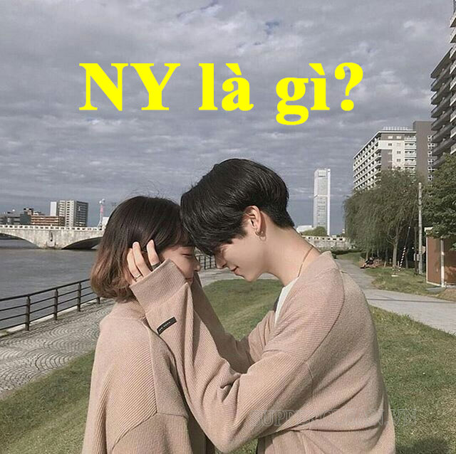 NY là gì? ý nghĩa của "NY" trong tiếng anh và tiếng việt